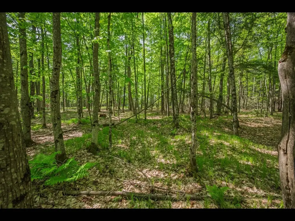 Lot 23 Bonita Pt, Eagle River