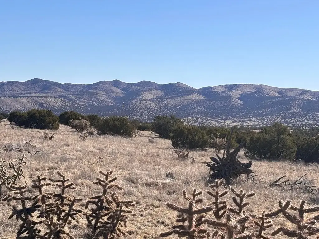 Lot 168 Pinon Springs, Magdalena