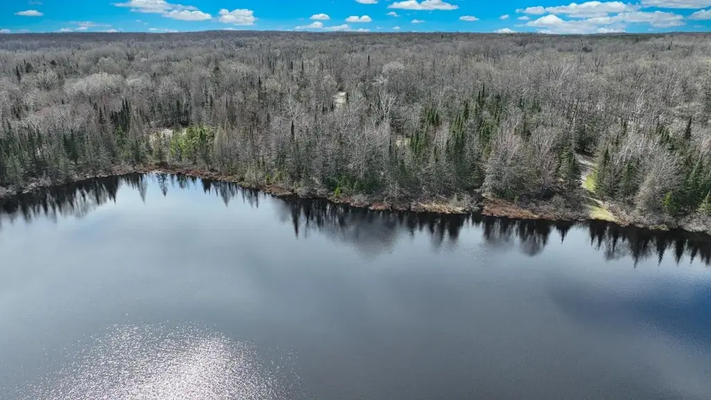 On Little Papoose Rd # 9 Acres, Manitowish Waters