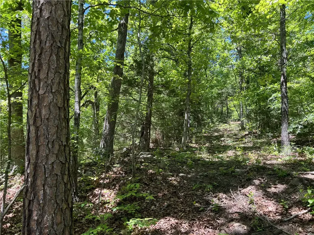 Terrapin Road, Harrison