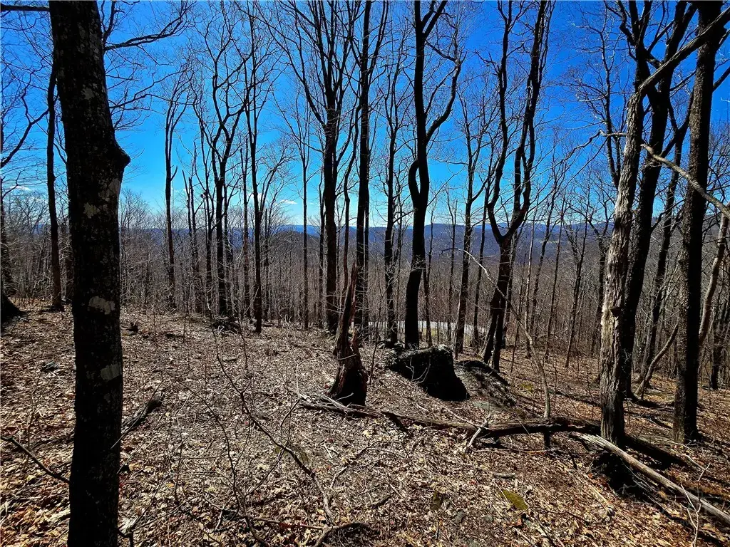 Lot 78 Elk Creek Mountain Parkway, Todd