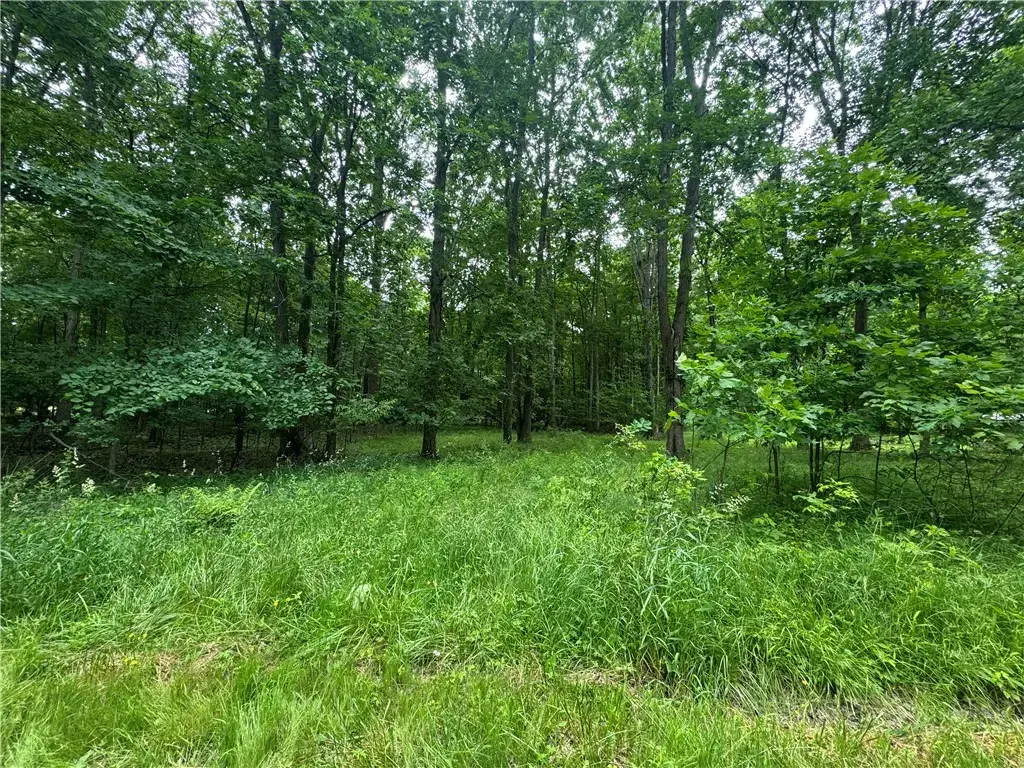 Trails End Road , Conneaut