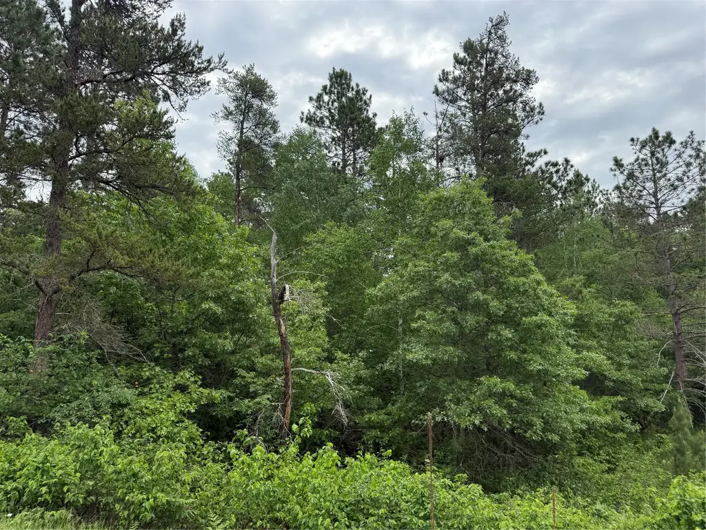 Lot 51 Aspen Lane, Barnes