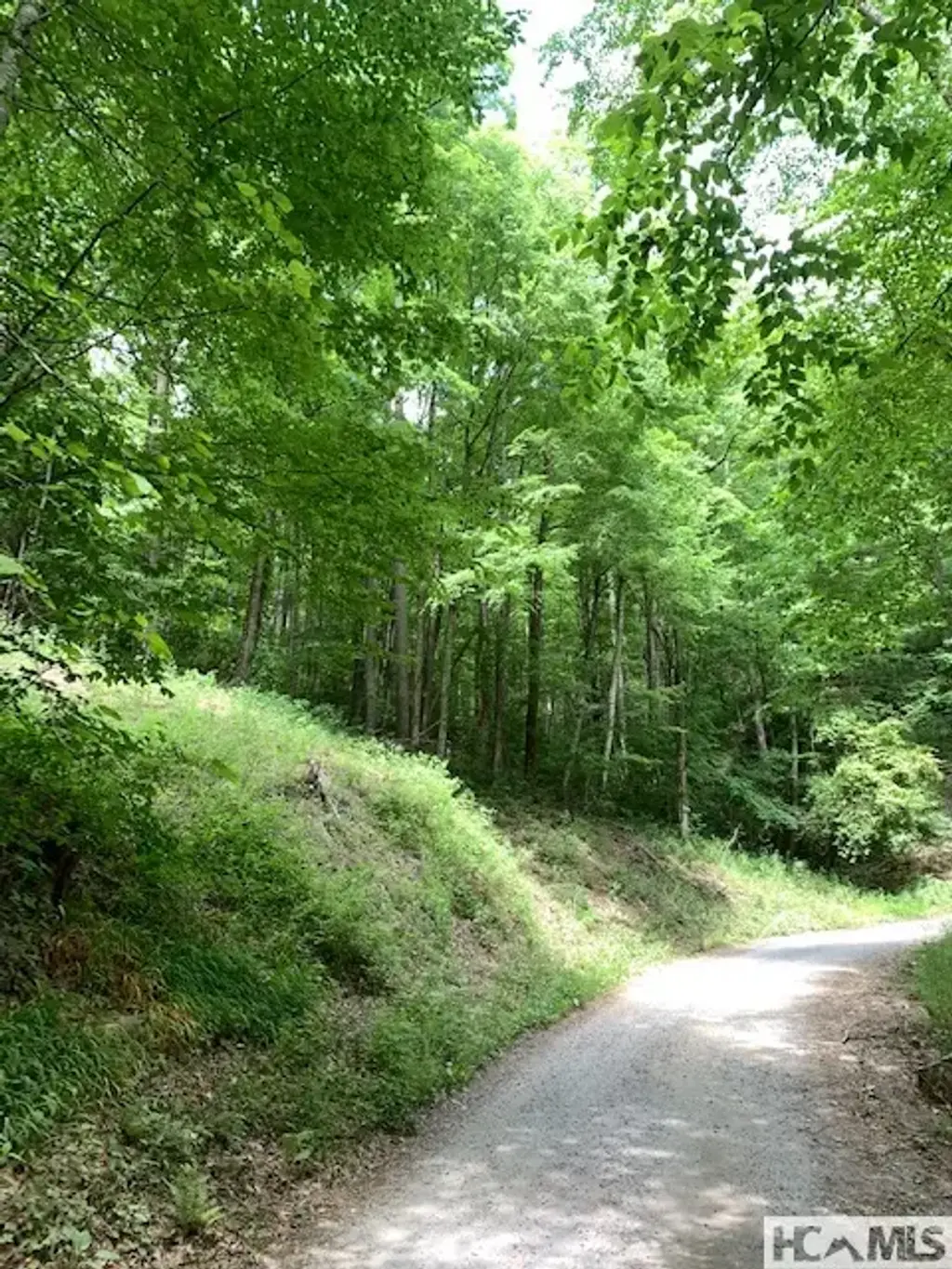 Little Ellijay Road, Franklin