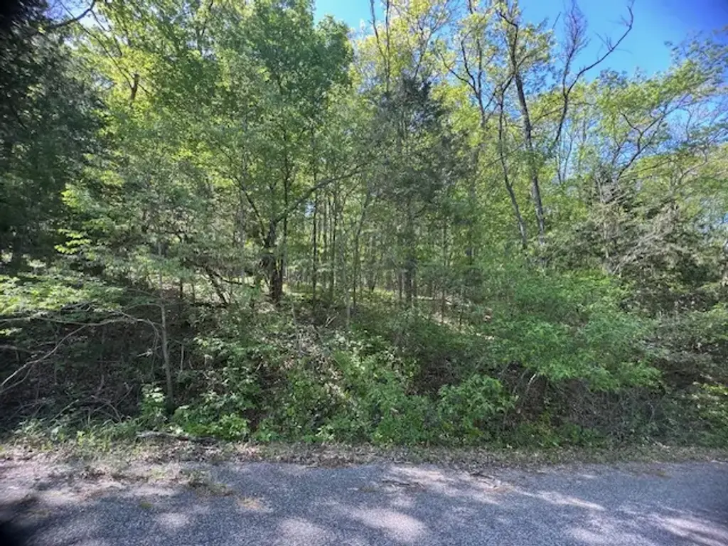 97 Thunderbird Drive, Holiday Island
