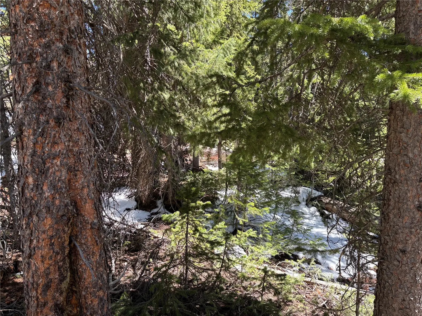 192 Kimmes Lane, Breckenridge