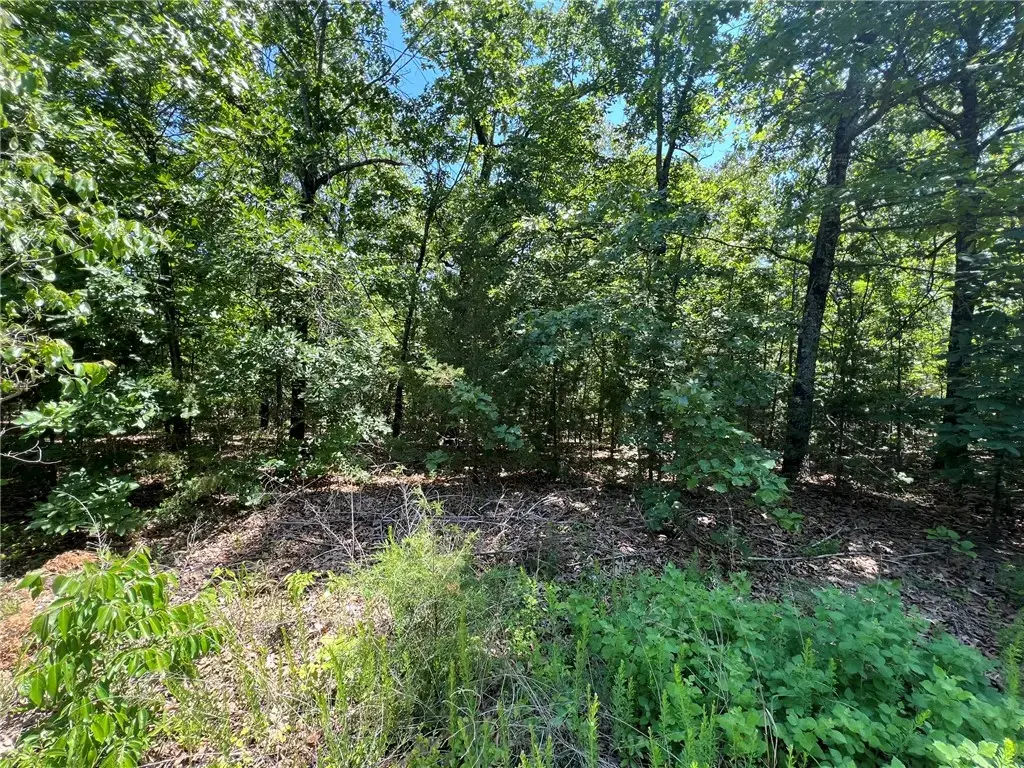 Tbd Saddle View Drive, Yellville