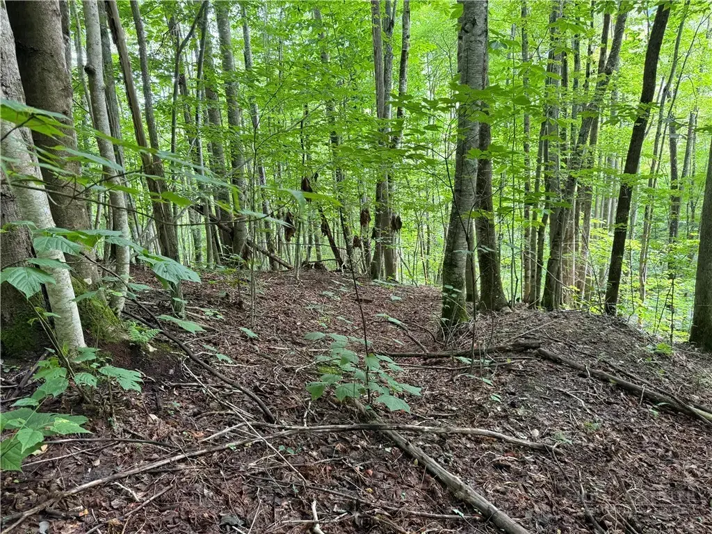 Lot 3 Buckeye Ridge Road, Beech Mountain