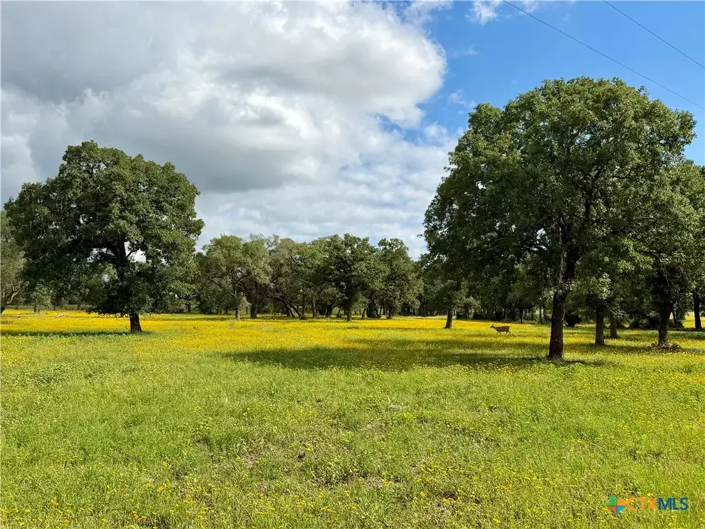 15631 Fm 682 - Tract A, Yoakum