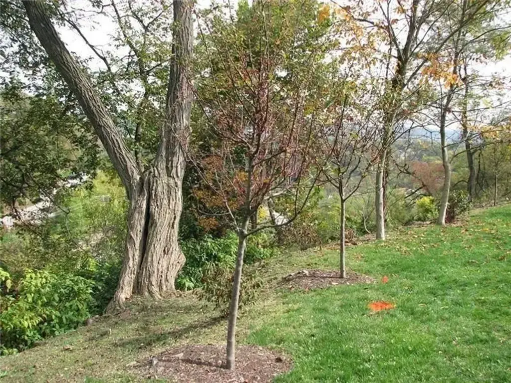 2643 Fernwald Road, Squirrel Hill