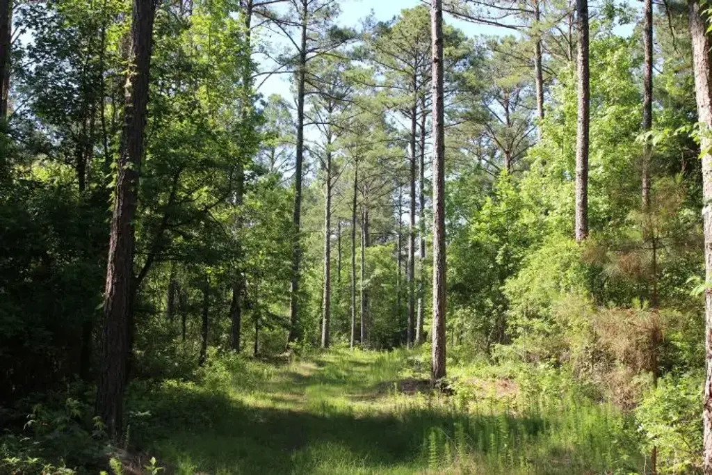 Hayes Mill, Notasulga