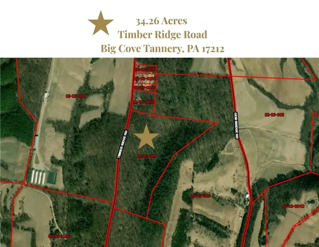 Timber Ridge Road, Other