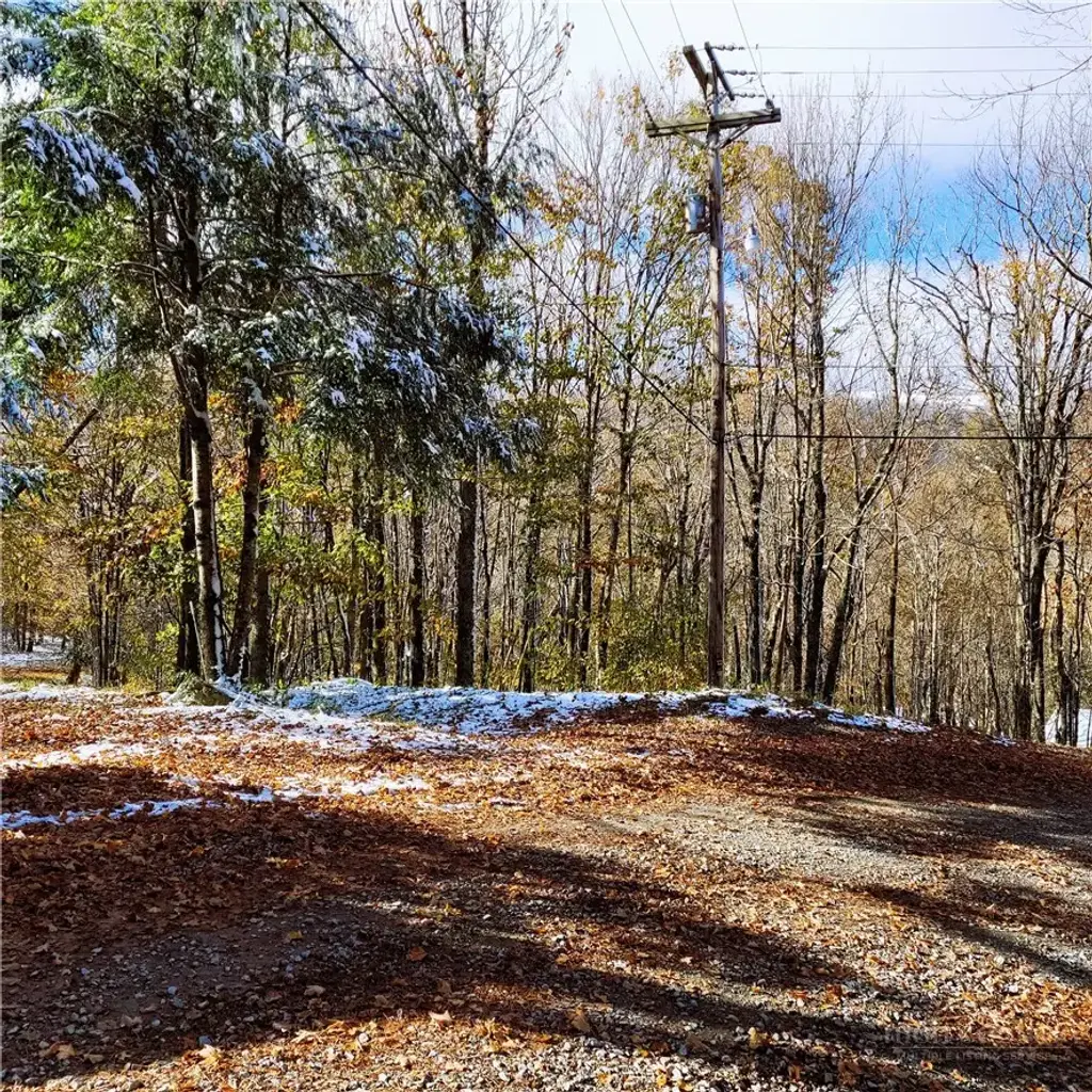 1026 Charter Hills (plus Tract 2) Road, Beech Mountain