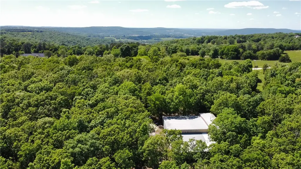 17659 S Skylight Mountain Road, Canehill