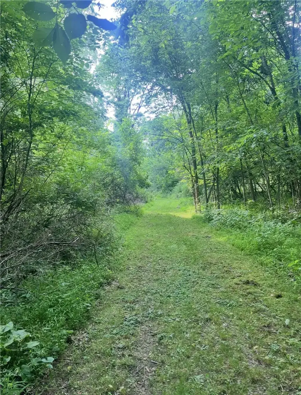 N/A, Plum Boro