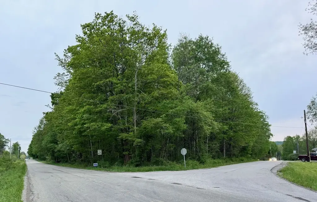 Lot B Lake Road And Elmwood Street, Canadohta Lake