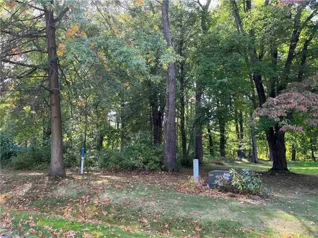 Autumn Drive , E Lackawannock