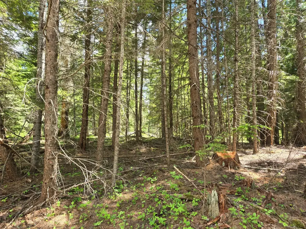 Lot A-4 Elk Heights Lane, Heron