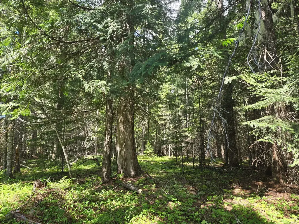 Lot A-1 Elk Heights Lane, Heron