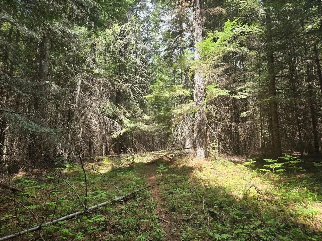 Lot A-2 Elk Heights Lane, Heron