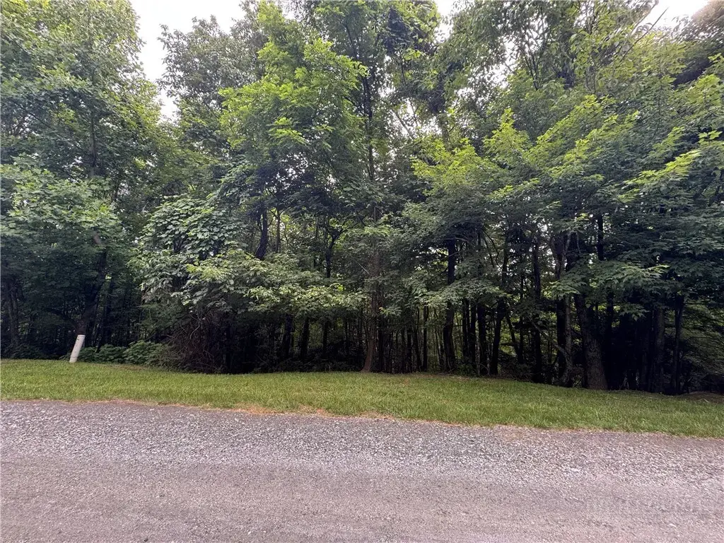 Tbd Wildcat Estates Drive, Deep Gap