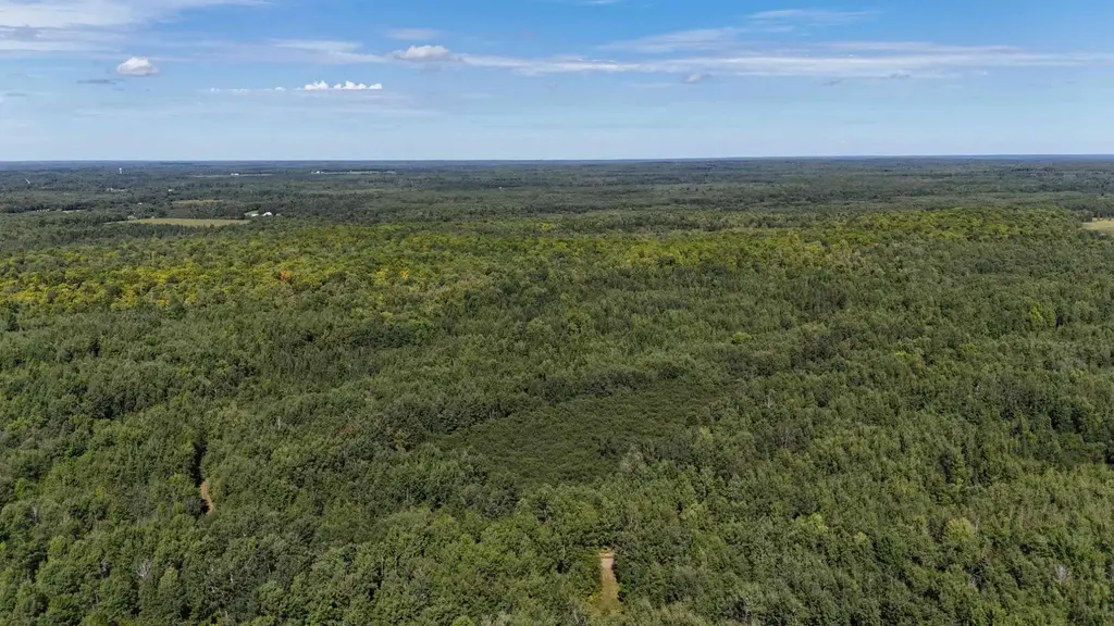 80 Acres Clausen Rd, Prentice