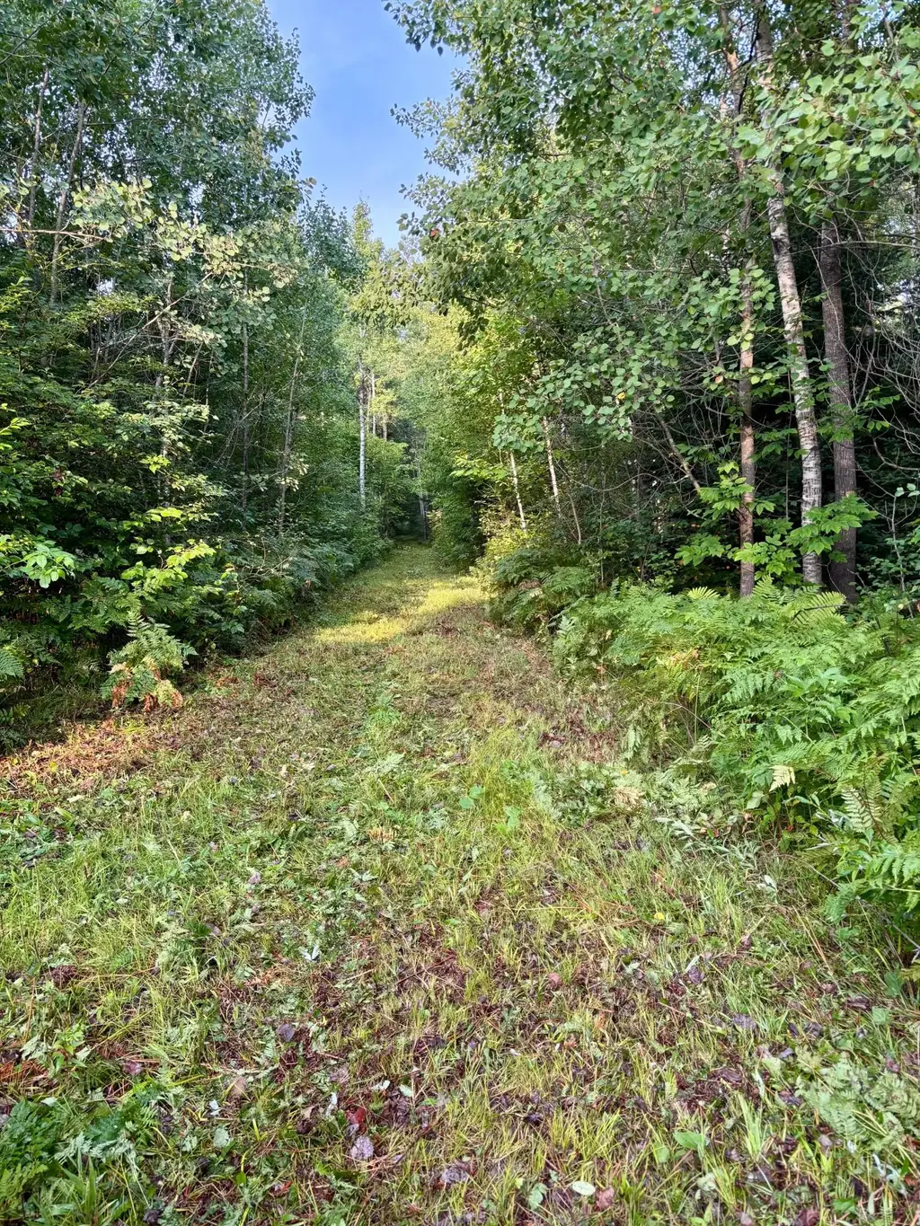 80 Acres Clausen Rd, Prentice