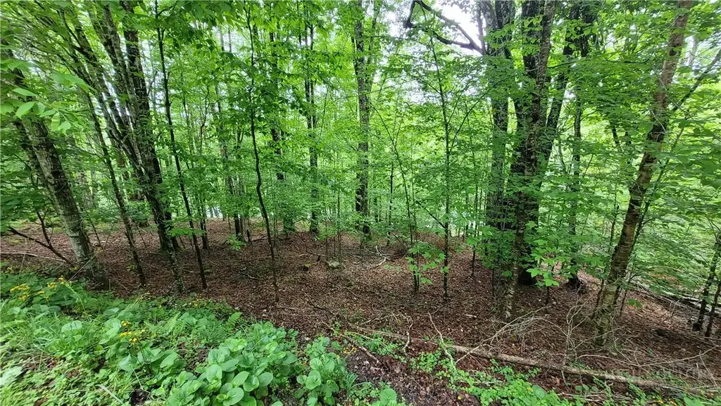 130 E Blueberry Lane, Beech Mountain