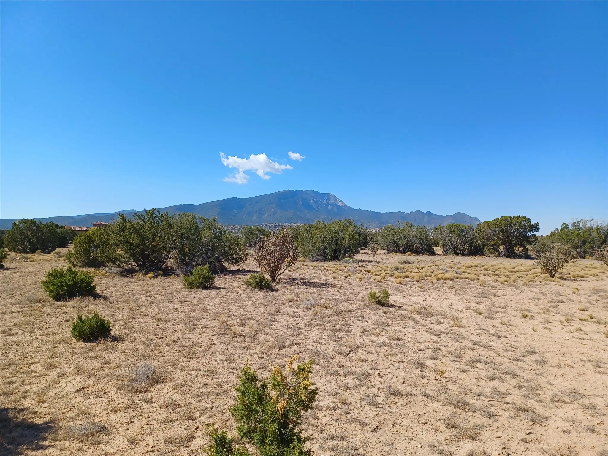 Tbd Lot 26 Palomino Road, Placitas