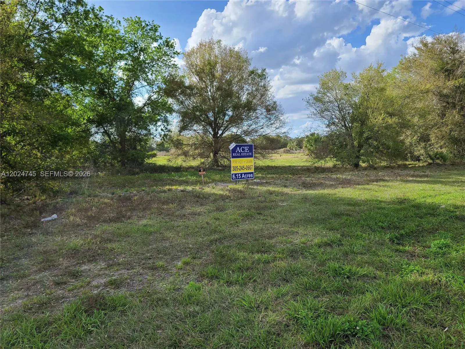 5 of 7 - 1527 N Highway 17, , FL