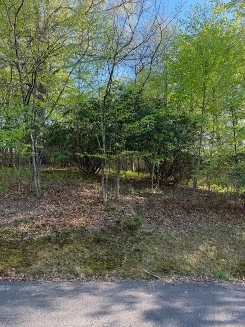 Lot #29 Isabel Way, Piney Creek