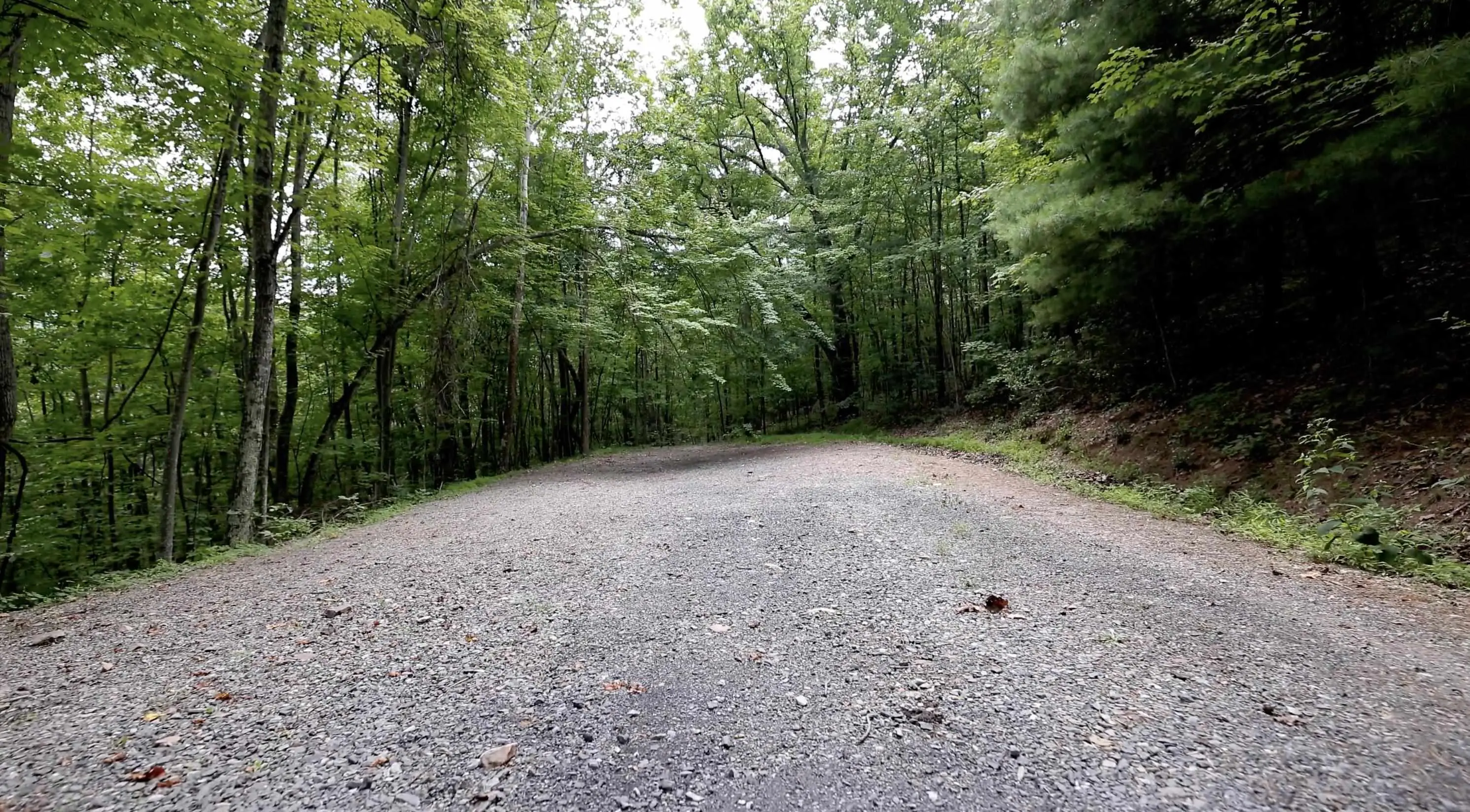 Lot 168 Forest Ridge Trl, Fort Valley