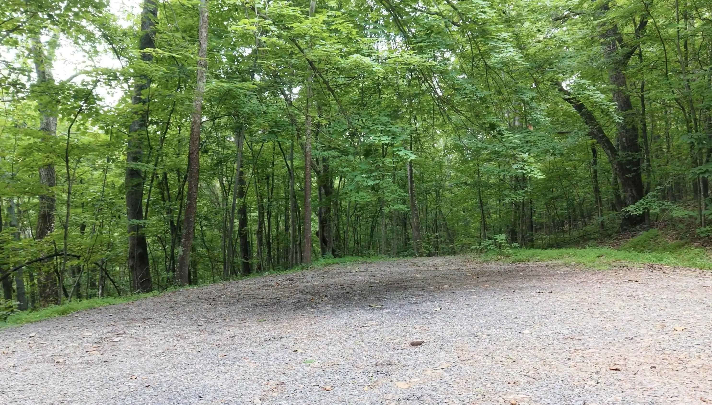 Lot 170 Forest Ridge Trl, Fort Valley