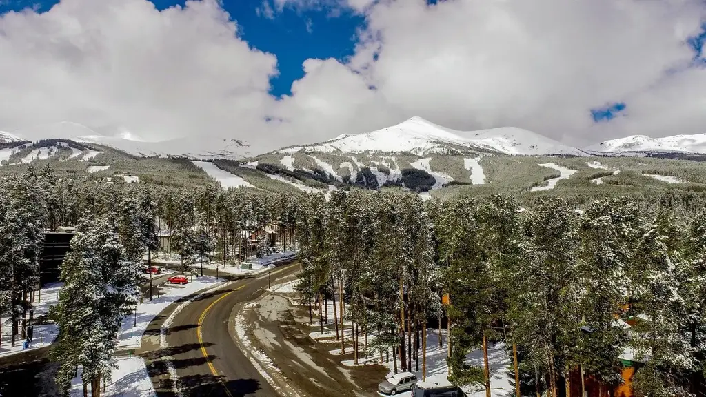 1105 Ski Hill Road 69, Breckenridge