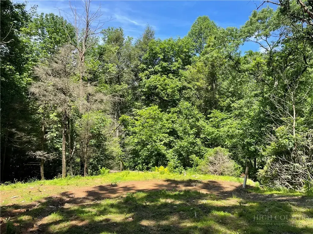 156 Dragonfly Lane, Boone