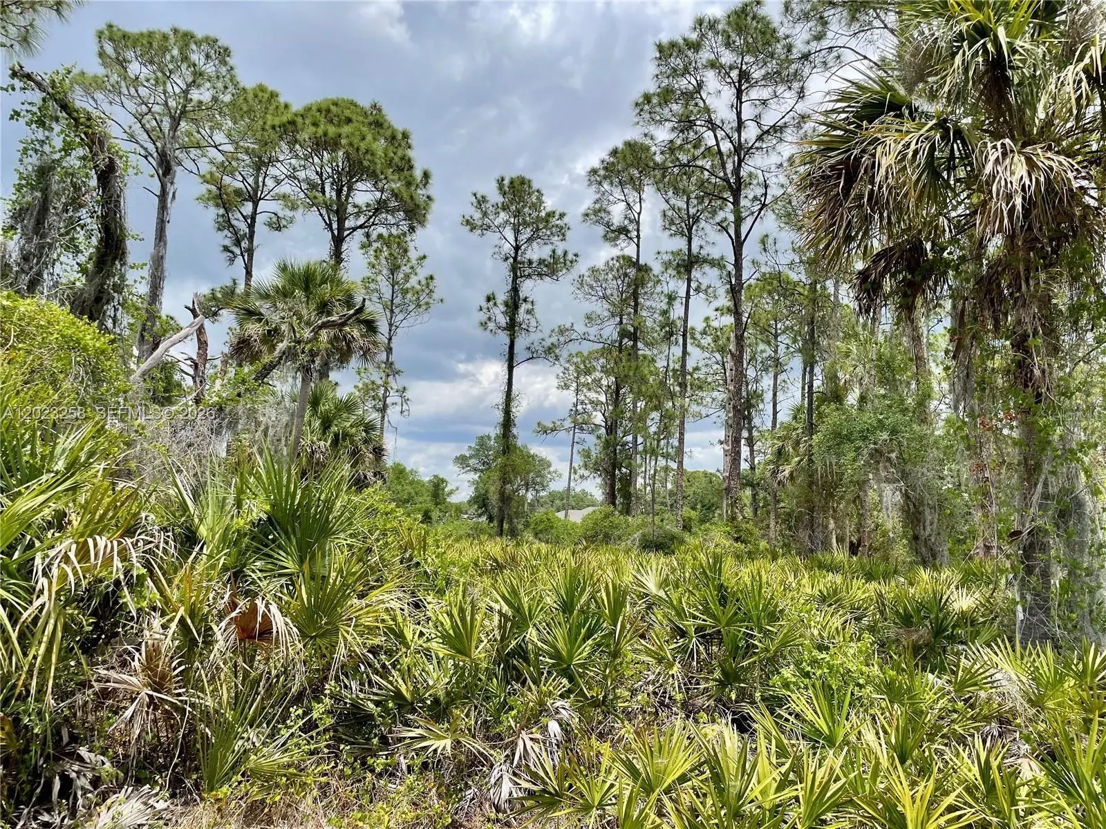 2 of 4 - N/A, Port Charlotte, FL