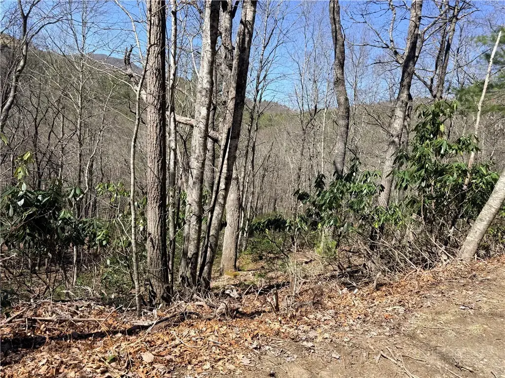 Tbd Lot 19 Lost Trail, West Jefferson