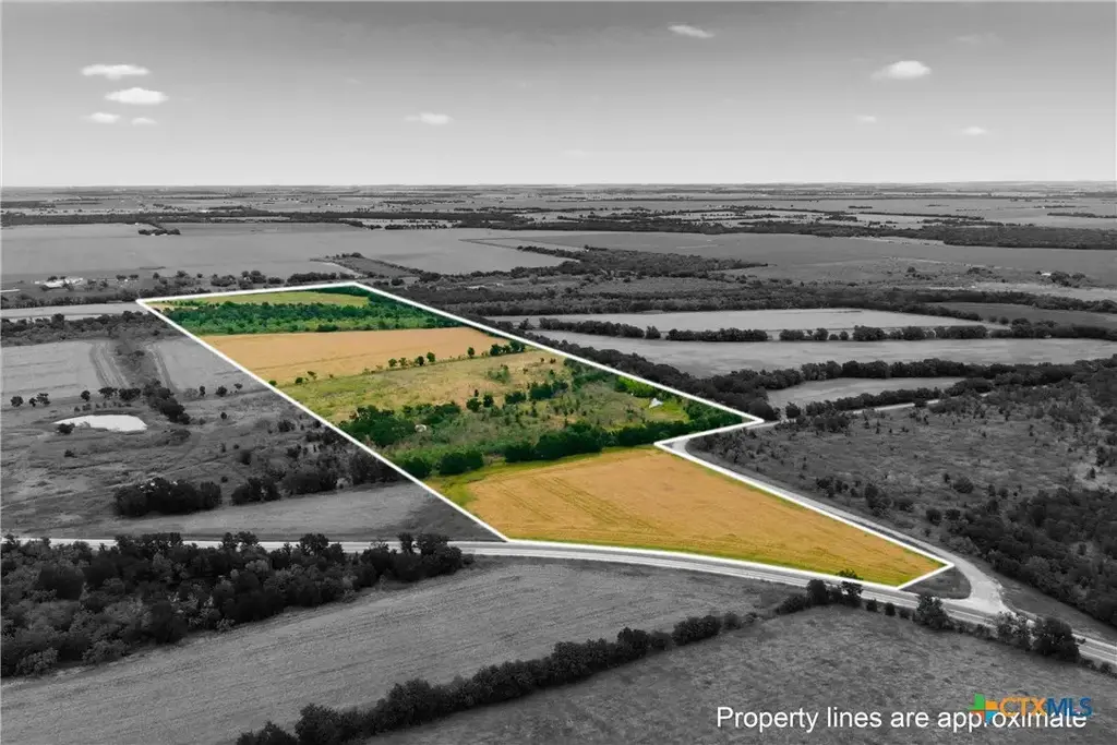 Tbd Fm 1915, Buckholts