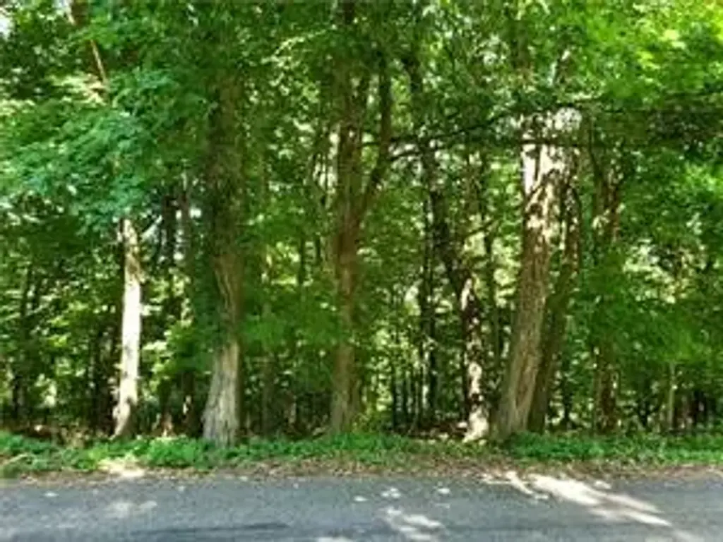 Shannon Road & Lynnbrook Drive, Penn Hills