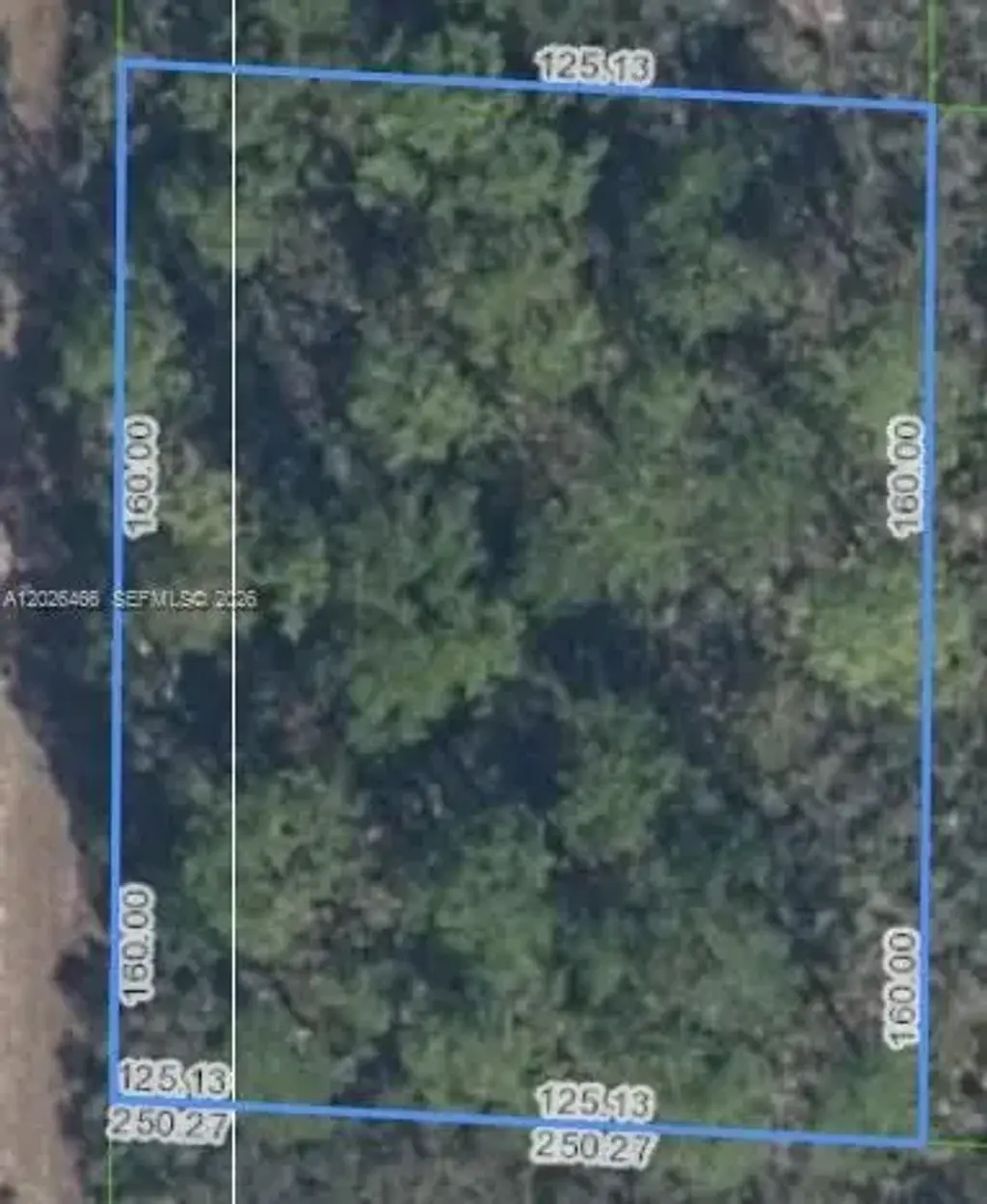 1139 Brook Hollow Rd, Lake Placid