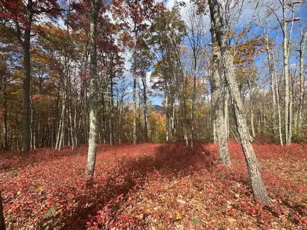 Blazing Star Trail, Glenville