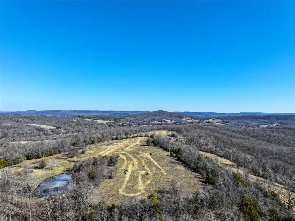 1061 County Road 731, Berryville