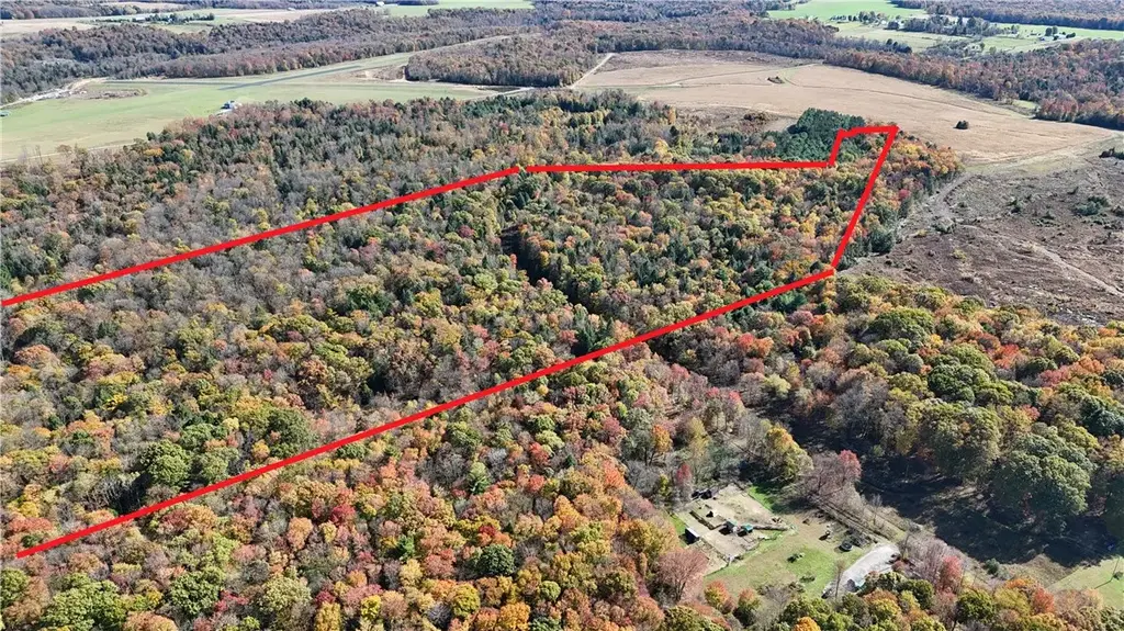 50 Acres Along Bird Lane, Pine Twp/Heilwood
