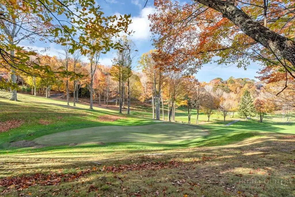 101 Golf View Drive # A-1, Beech Mountain