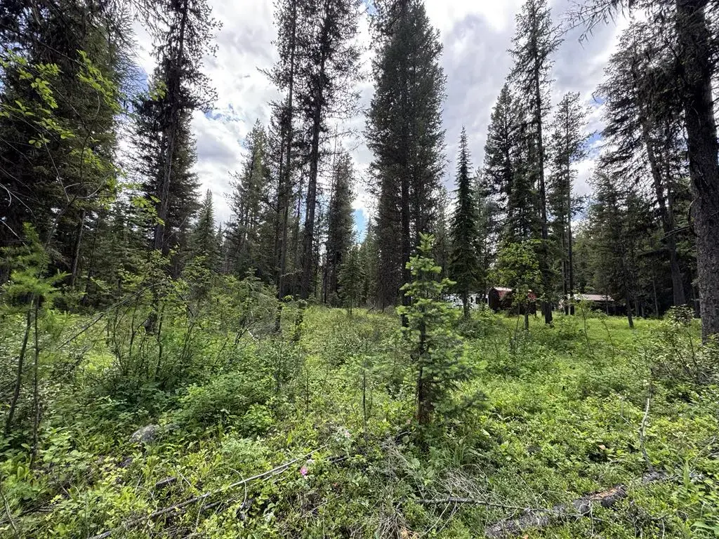 768 Deep Woods Trail, Polebridge