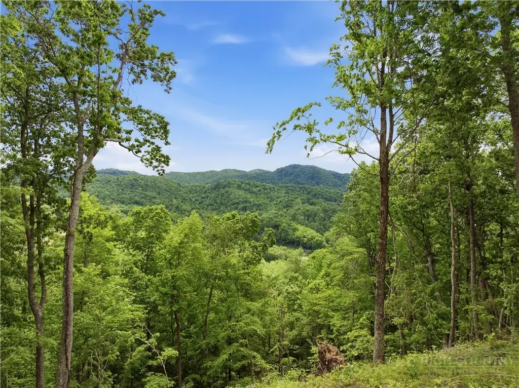 Lot 191 Raspberry Lane, Elk Park