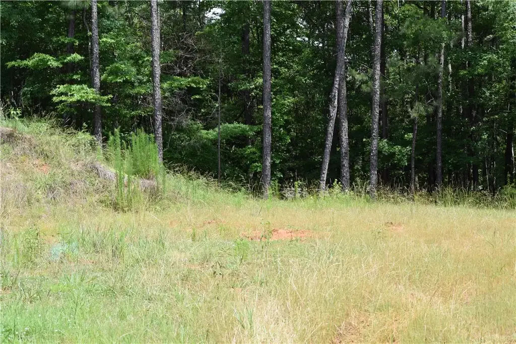 Lee Rd 757, Opelika