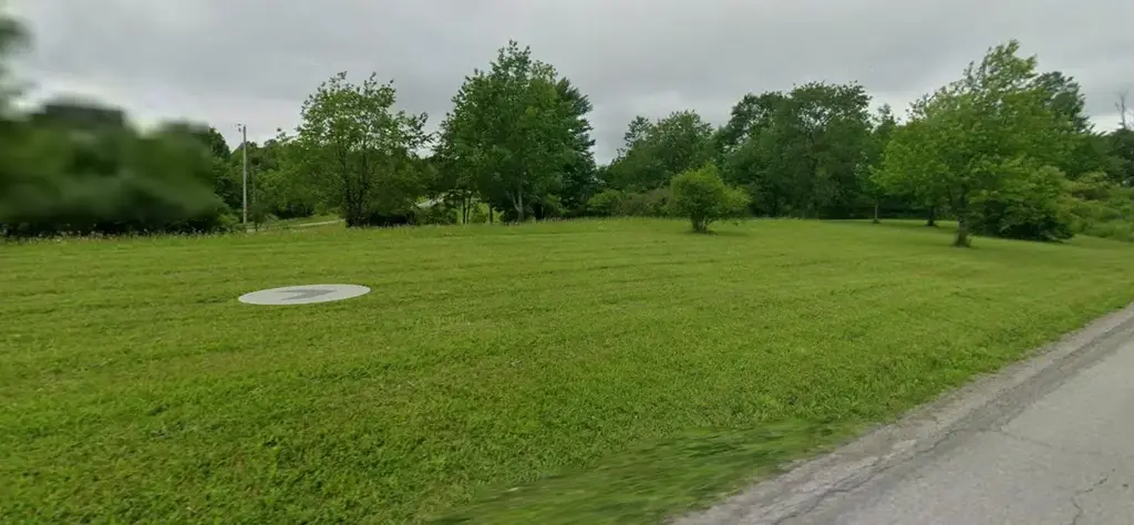 White Road , Saltlick