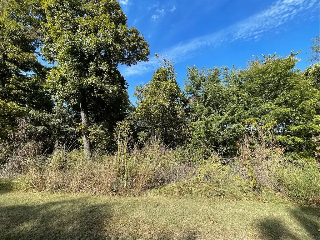 238 Holiday Island Drive, Holiday Island