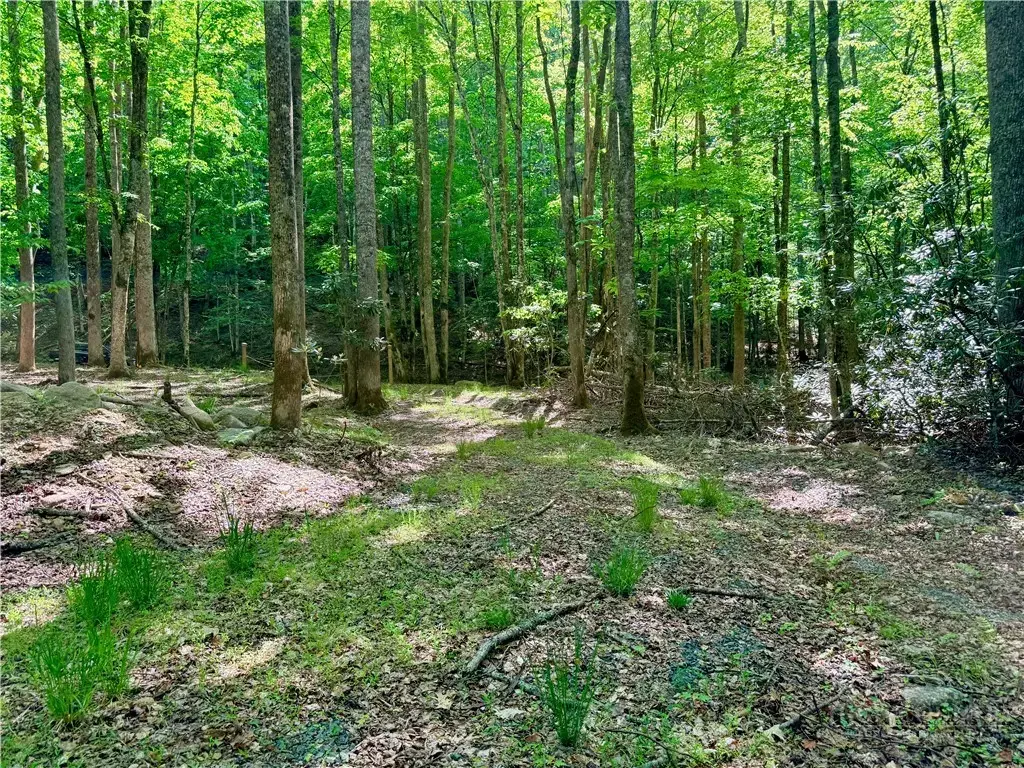 Lot 5a Buckeye Ridge Road, Beech Mountain